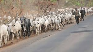 KWAYORG Asks Herder  To Sign Security Bond With Kwara South Leaders