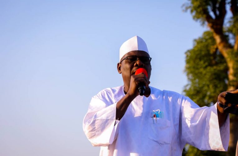 Borno South 2027: APC Backs Deputy Speaker to Unseat Ndume
