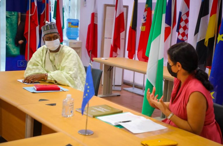 Zulum Meets New EU Head