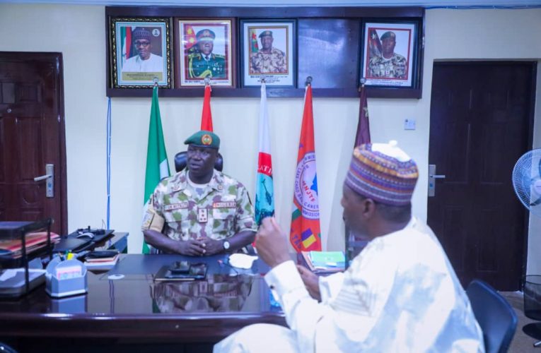 Zulum Meets Military Over Farms Reopening