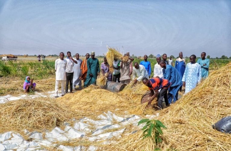 Farms’ reopening: Zulum Inputs’ Packages To Additional 3,000 Families in Damasak