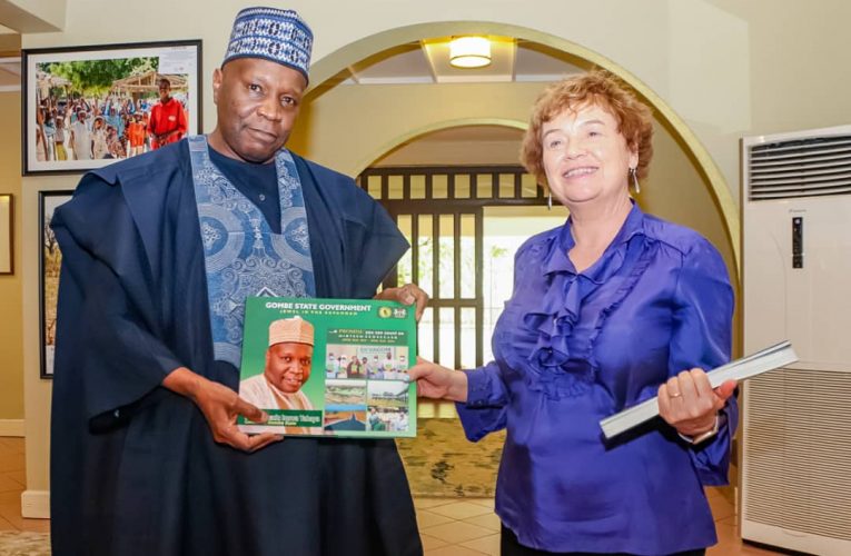 UK Govt Partners Gombe State on Industrial Development