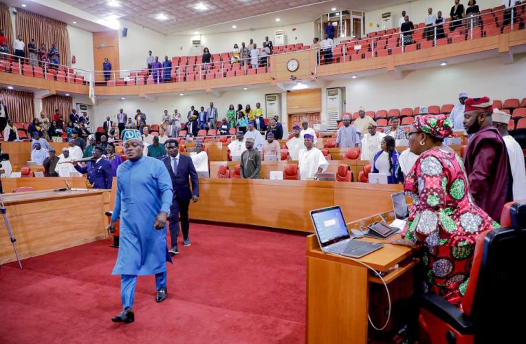 Lagos Assembly Demands Constitutional Amendment, Makes Case for State Police