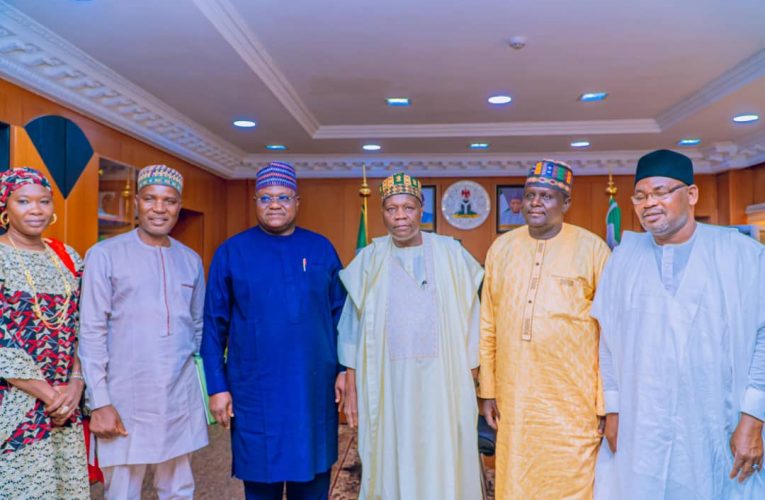 Gombe Explores Partnership with NBRRI to Boost Homegrown Building Technologies