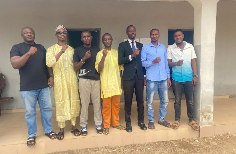 Cyberstalking: Court Grants Kwara Journalist, Activist Bail