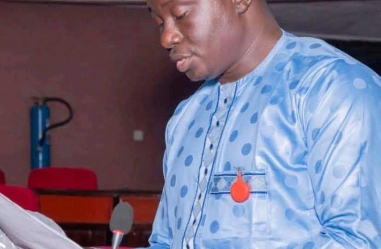 Kwara Assembly: Saba Gideon’s Suspension Unconstitutional, Court Declares