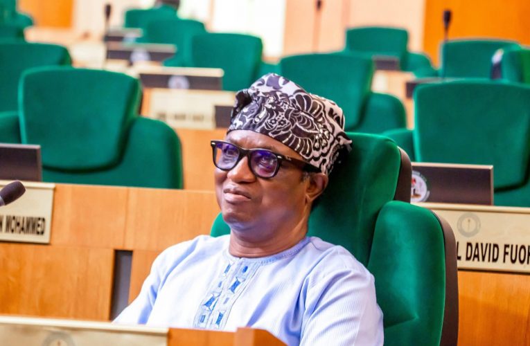 Apapa Lawmaker Faces Backlash for Facilitating Establishment of FMC in Kwara