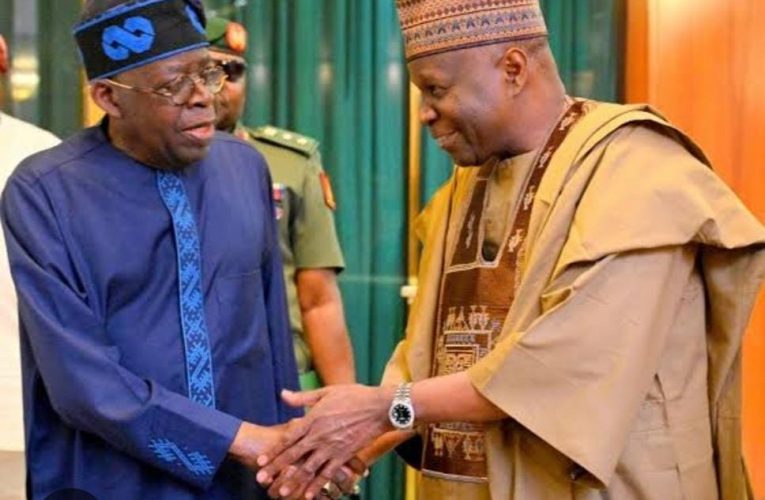 Northern Governors’ Forum Chairman Celebrates Tinubu at 74