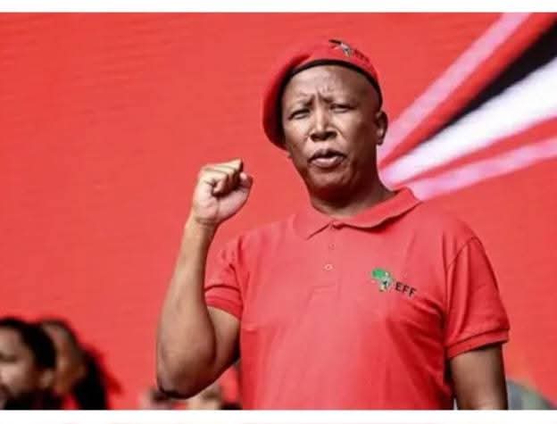 South Africa Opposition Leader,  Malema Jailed