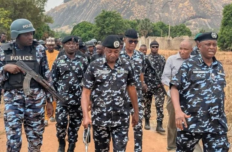 Ariko Attack: IGP Disu Deploys DIG Operations To Kaduna, Seven Victims Rescue
