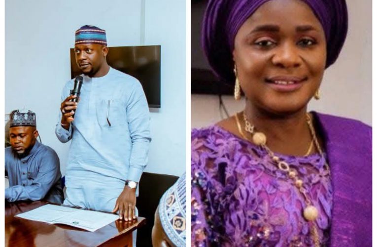 Shagaya vs Mopelola: Ilorin West Stakeholders Pick Senate over Reps