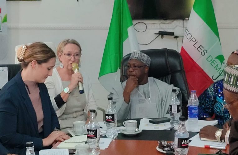 Kwara PDP Engages British High Commissioner, Raises Alarm on Intimidation, Insecurity