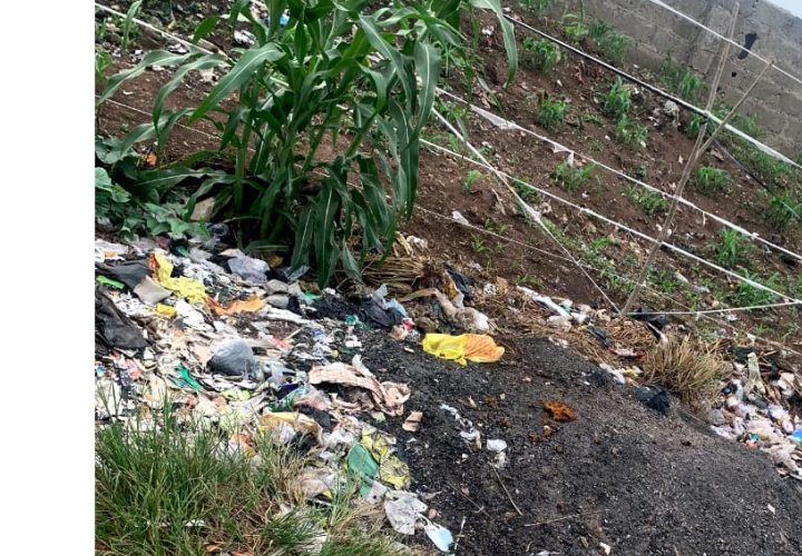 Broken Promises: The Fight Against Open Defecation in Ondo State