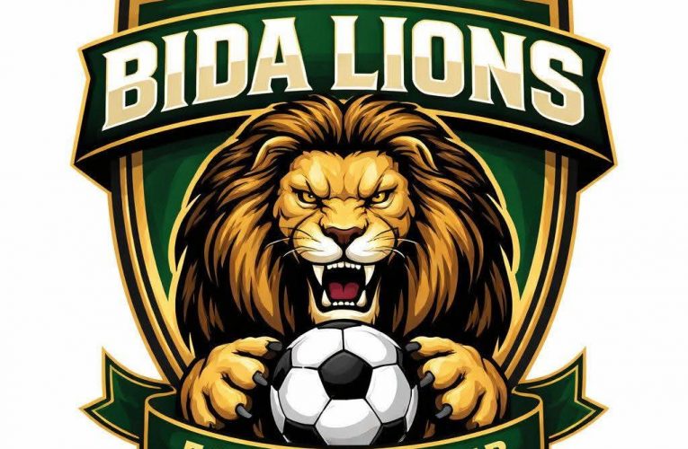 Bida Lions Calls for Review of NLO PLAY OFFS 