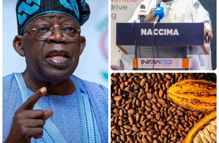NACCIMA President Commends Tinubu’s Ban on Raw Cocoa Exports