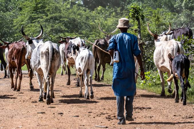Police Under Fire as Herdsman return to threaten Farm Worker in Kwara