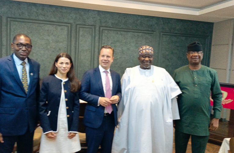 NACCIMA, ODDO BHF Advance Strategies For Long-Term Financing, Greater Africa-Europe Investment
