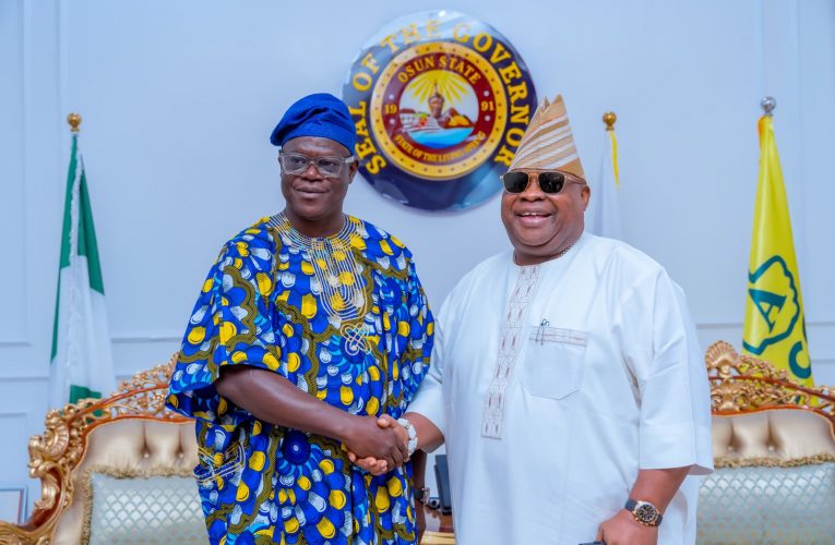 APC National Secretary Visits Adeleke