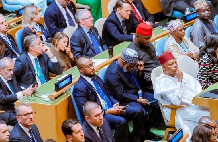 UN General Assembly: Start Speaking With Sovereign Power, PeacePro Tasks African Leaders
