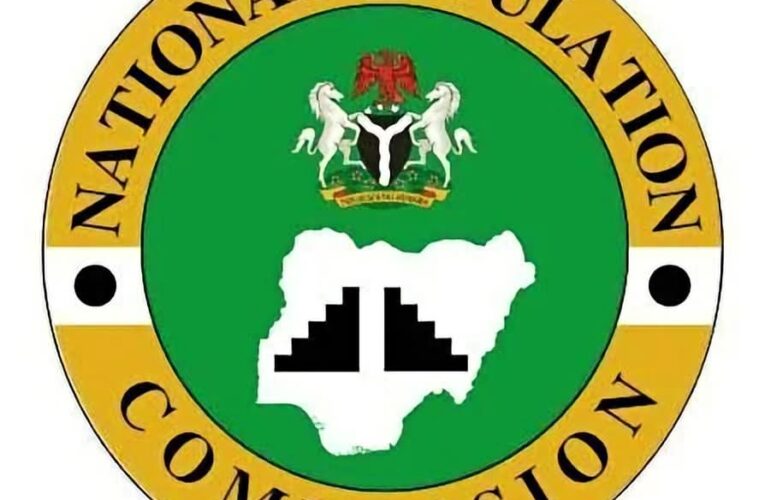Nigeria’s Census: Many Implications of 20 Years Without Headcount