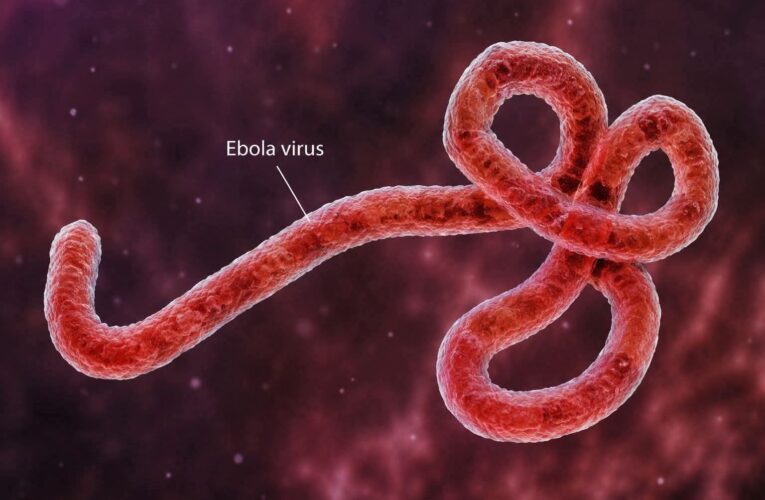 FACTSHEET: NIGERIA’S 2014 EBOLA OUTBREAK