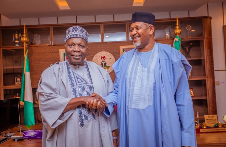 Gombe 2027: PDP Guber Aspirant Meets Gov Inuwa, Pledges Support for Gwamna