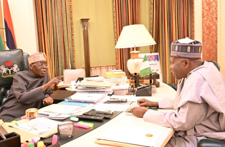 NNGF Chairman Meets Tinubu; Pushes Gombe, Northern Nigeria’s Interests
