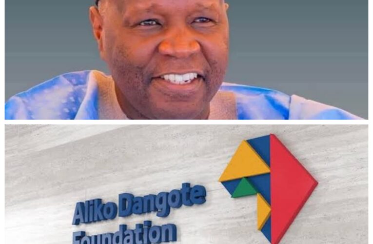 Gombe Governor Releases N150m To Secure Dangote Shares for 28,284 Vulnerable Women