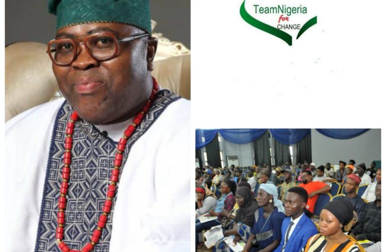 How TeamNigeria4Change is Adding Value To Nation Building
